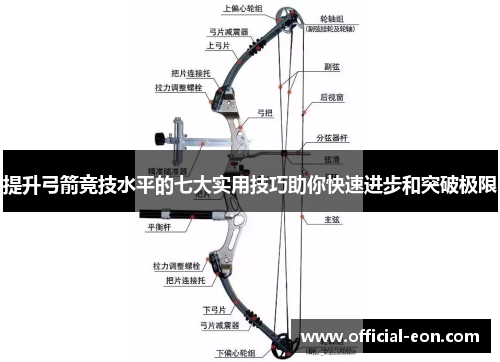 提升弓箭竞技水平的七大实用技巧助你快速进步和突破极限