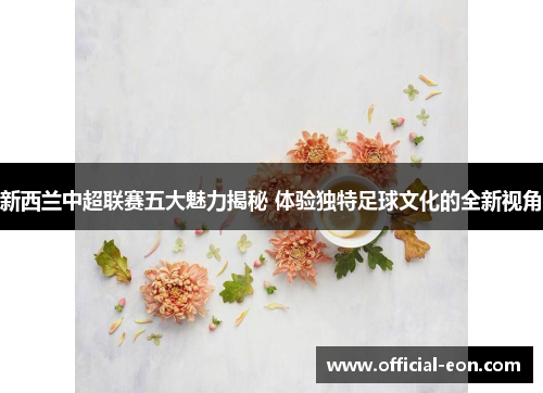 新西兰中超联赛五大魅力揭秘 体验独特足球文化的全新视角