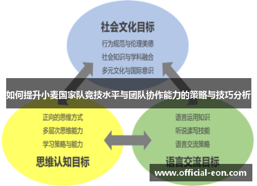 如何提升小麦国家队竞技水平与团队协作能力的策略与技巧分析