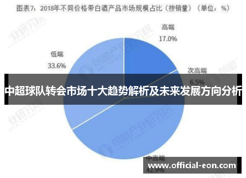 中超球队转会市场十大趋势解析及未来发展方向分析