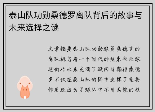泰山队功勋桑德罗离队背后的故事与未来选择之谜