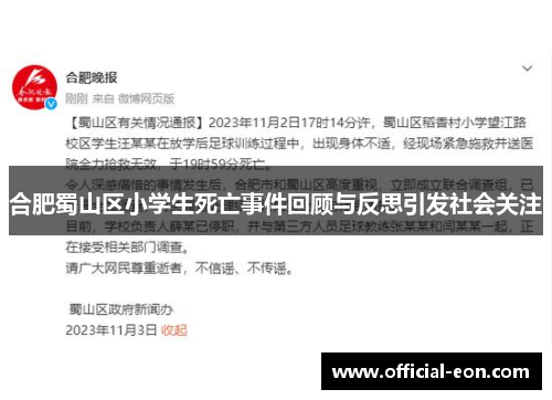 合肥蜀山区小学生死亡事件回顾与反思引发社会关注