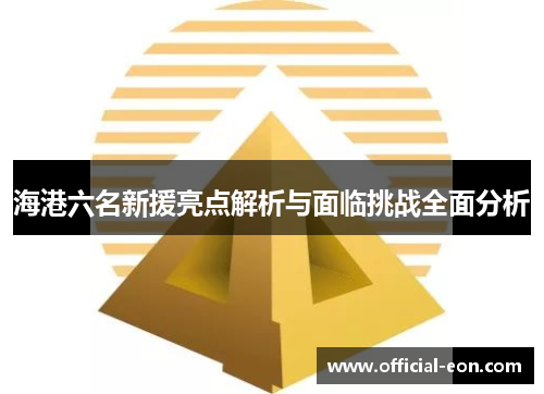 海港六名新援亮点解析与面临挑战全面分析