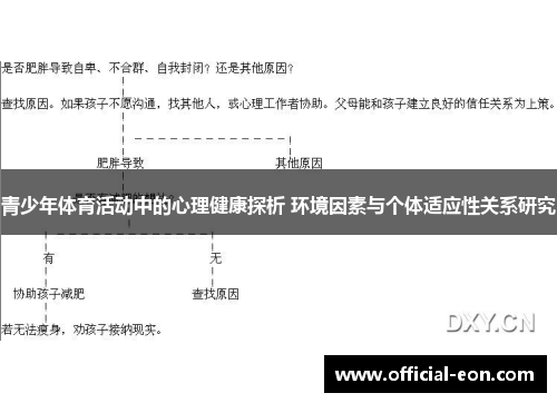 青少年体育活动中的心理健康探析 环境因素与个体适应性关系研究 青少年体育活动中的心理健康探析 环境因素与个体适应性关系研究